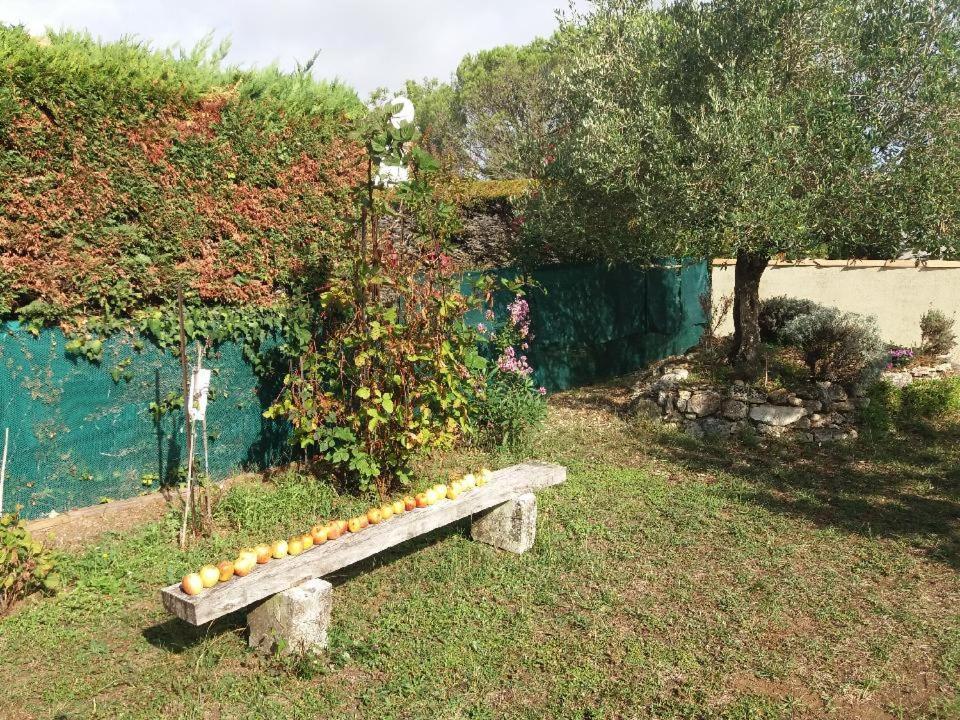 Le Clos De La Plage - Villa Vintage Avec Jardin Privatif- 500M De La Plage - 6 Personnes Dolus d'Oléron Kültér fotó
